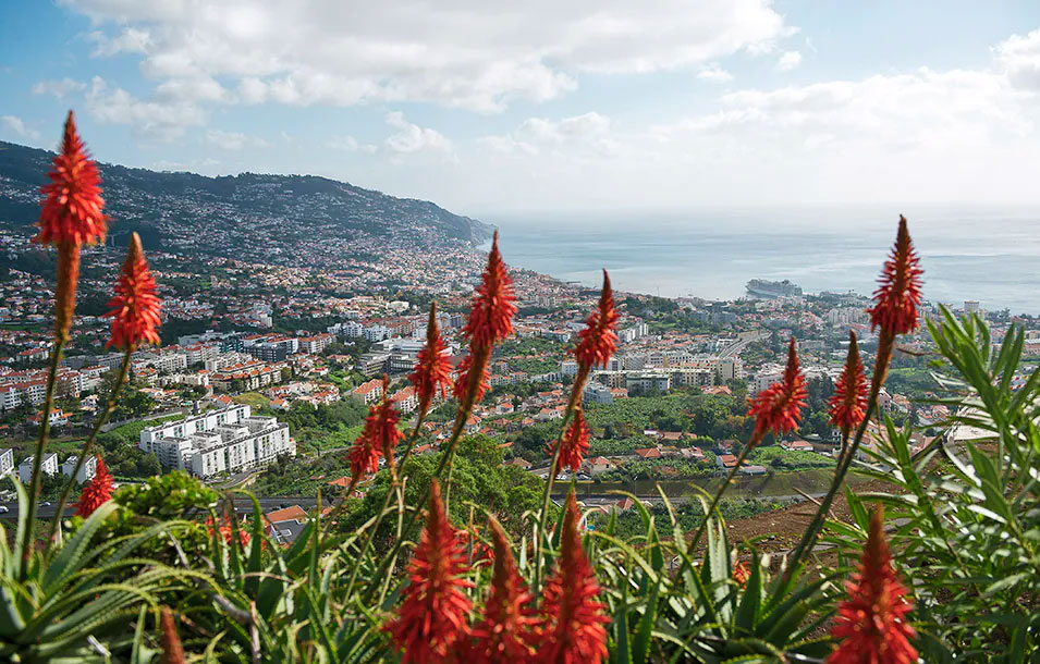 MADEIRA-CRUISES-3