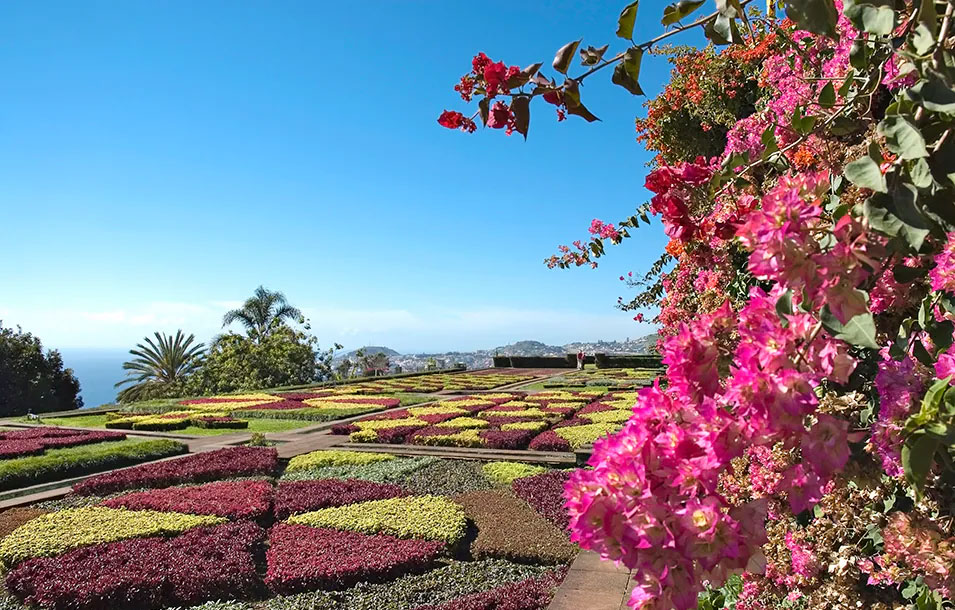 MADEIRA-CRUISES-4
