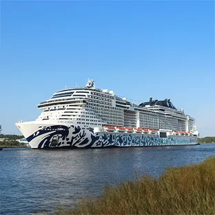 312 x 312_MSC Cruises