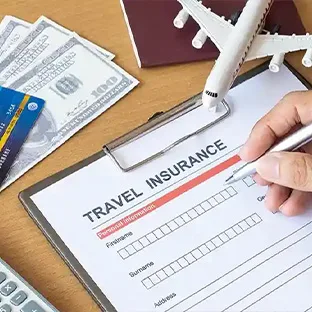 312 x 312_Travel Insurance